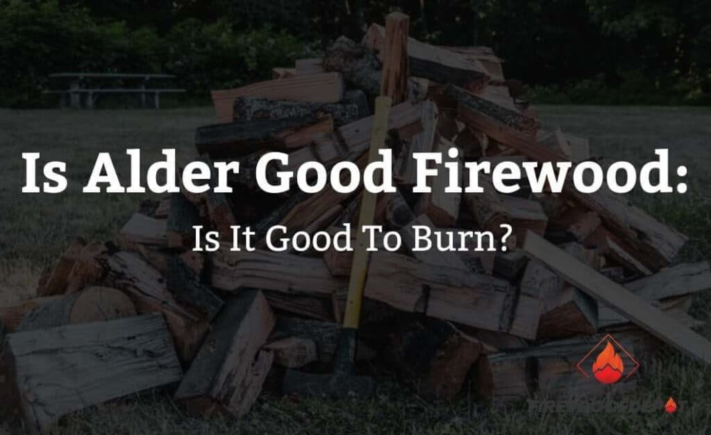 Is Alder Good Firewood