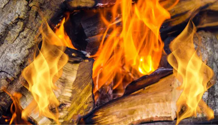 Factors that Affect the Ignition Temperature of Wood