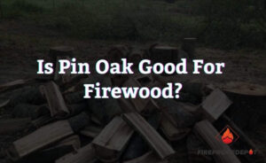 Is Pin Oak Good For Firewood