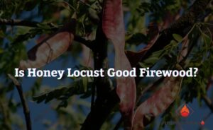 Is Honey Locust Good Firewood