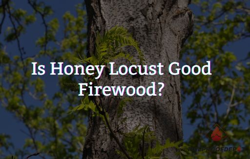 Is Honey Locust Good Firewood?