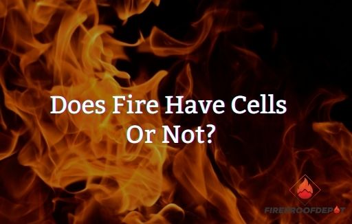 does fire have cells or not?