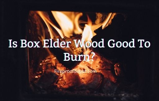 Is Box Elder Good Firewood? Box Elder Firewood Guide