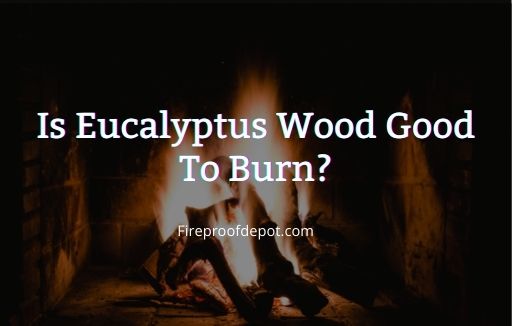 Is Eucalyptus Wood Good
 To Burn? 