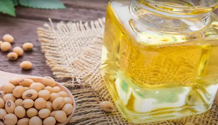 What Is Actually Vegetable Oil